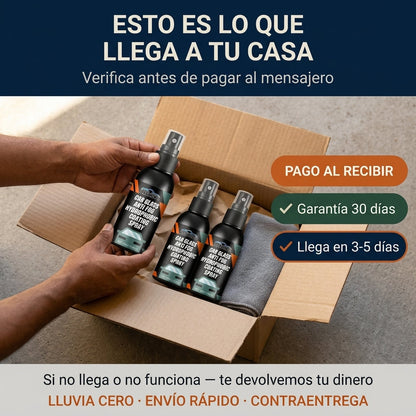 Branding — Lluvia Cero · Car Glass · México — vista 7